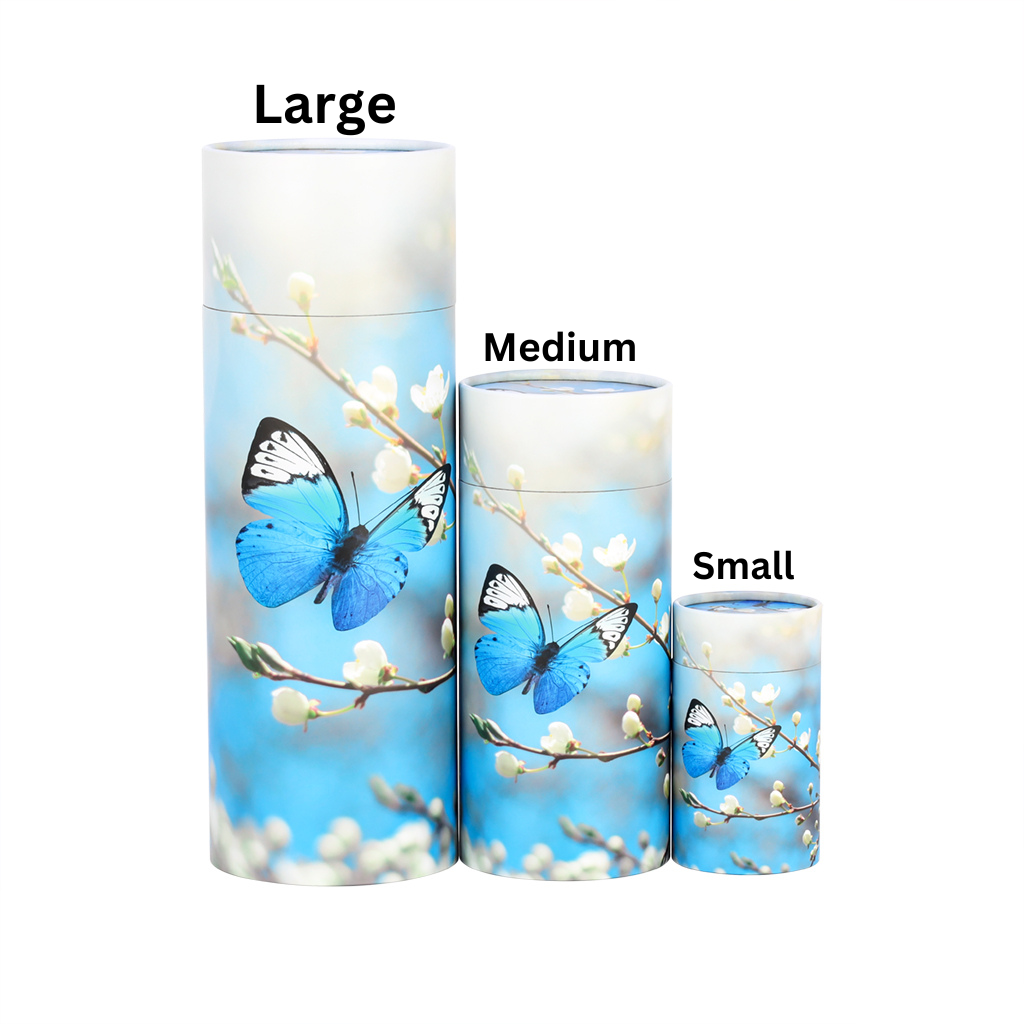Blue Butterfly Scattering Tube