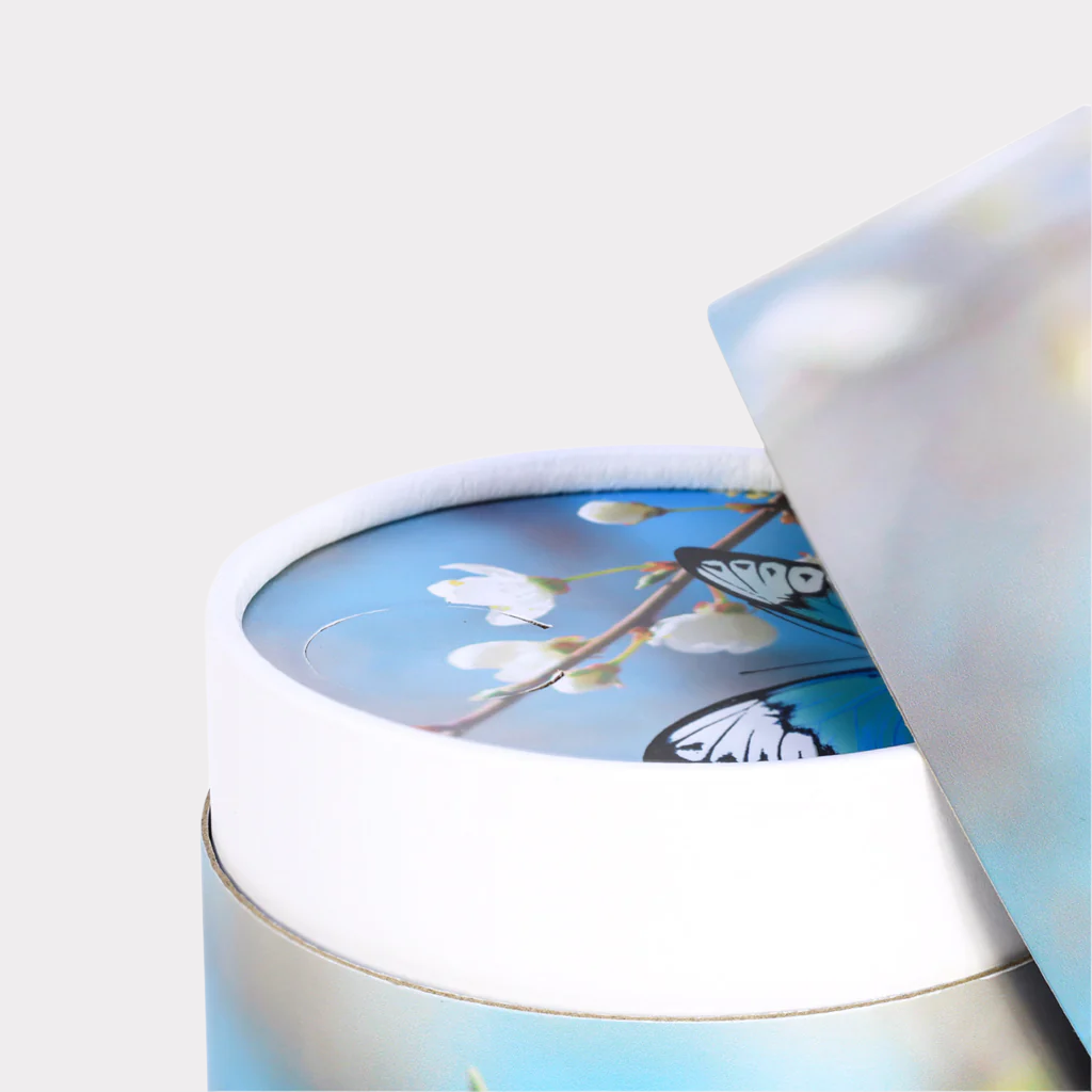 Blue Butterfly Scattering Tube