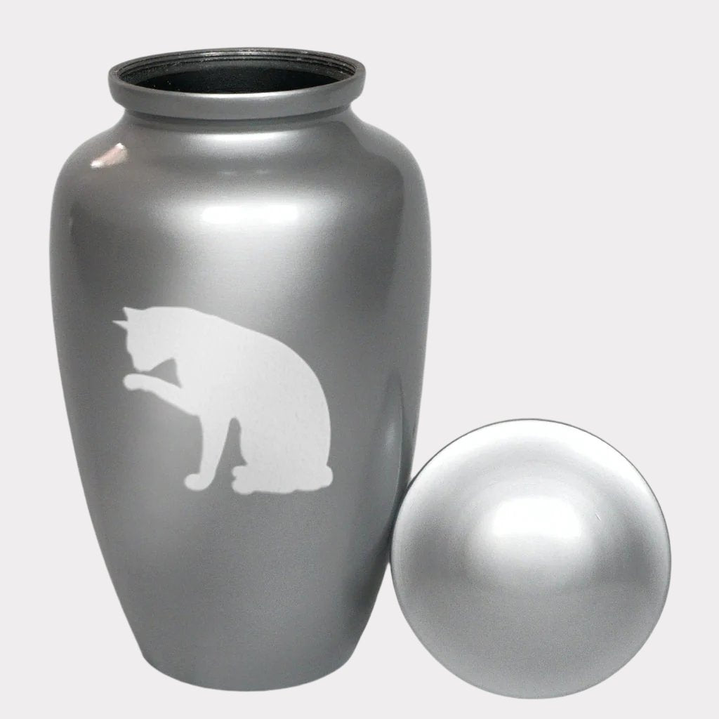 Cleaning Cat Cremation Urn