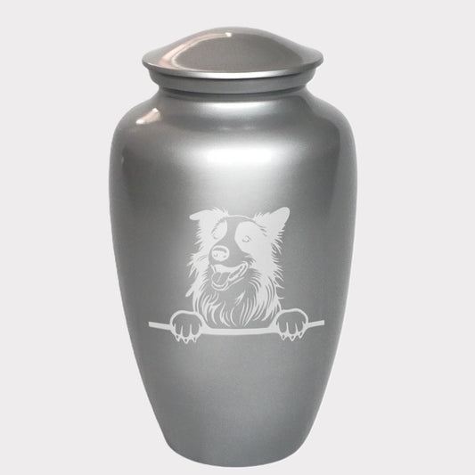 Curious Border Collie Dog Cremation Urn
