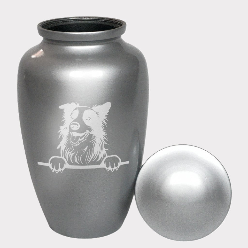 Curious Border Collie Dog Cremation Urn