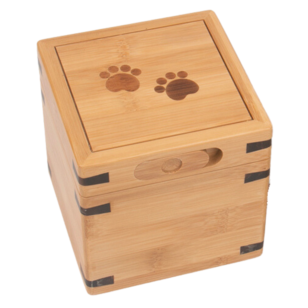 Bronze Pawprint Keepsake Urn