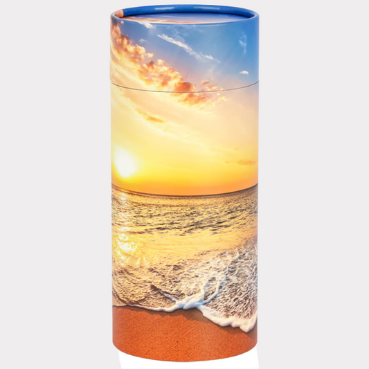 Beach Scattering Tube