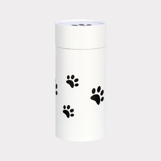 Pet Scattering Tube