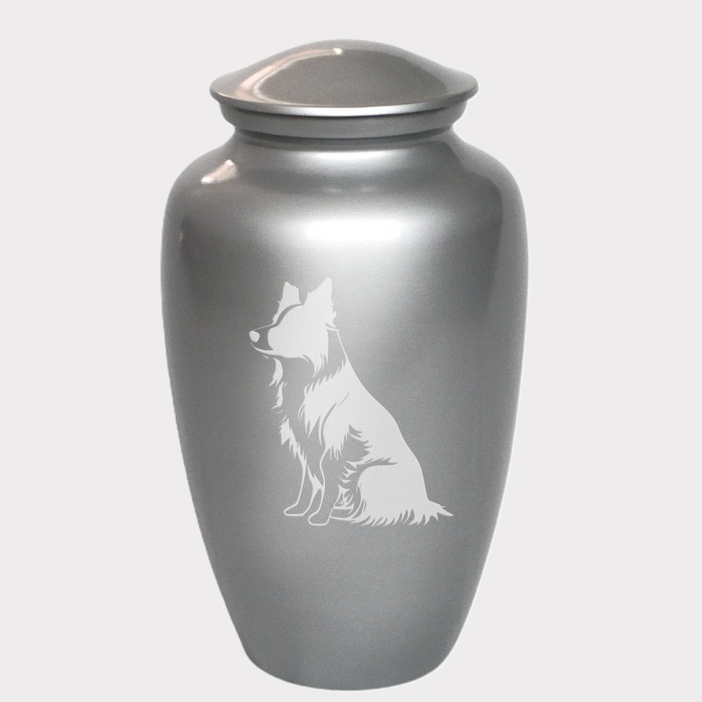 A silver metal cremation urn with a laser engraved image of a sitting border collie dog on the front.